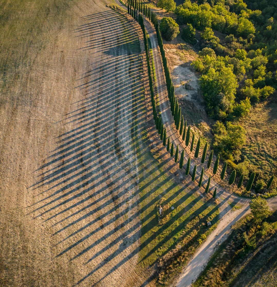 Compliance Reporting